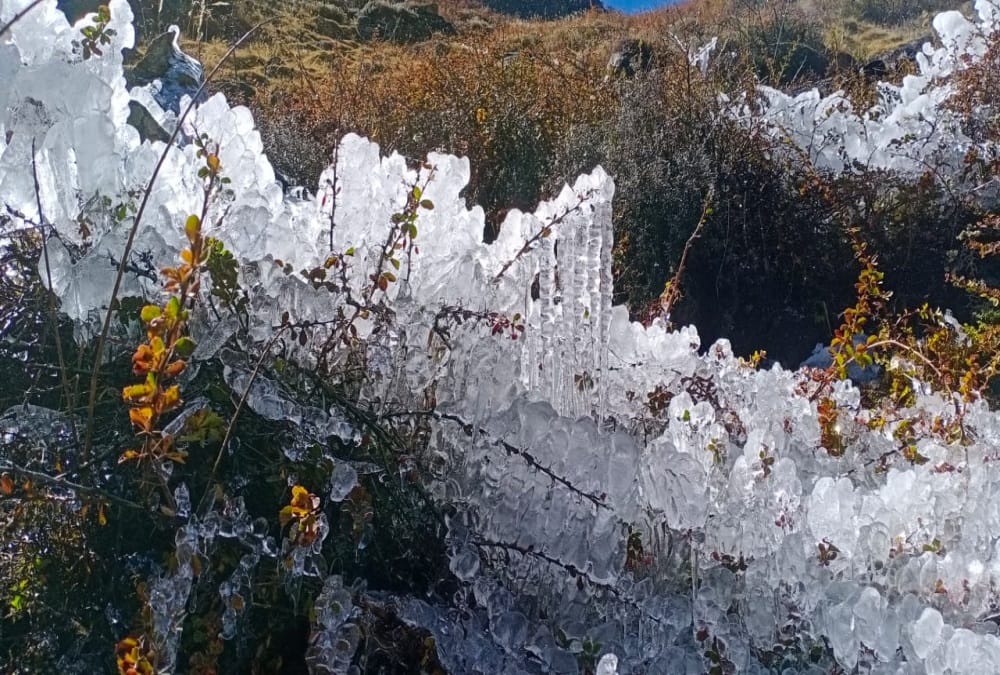 Uttarakhand weather forecast today update: Frost Freeze In Badrinath Dham, Bitter cold Increased