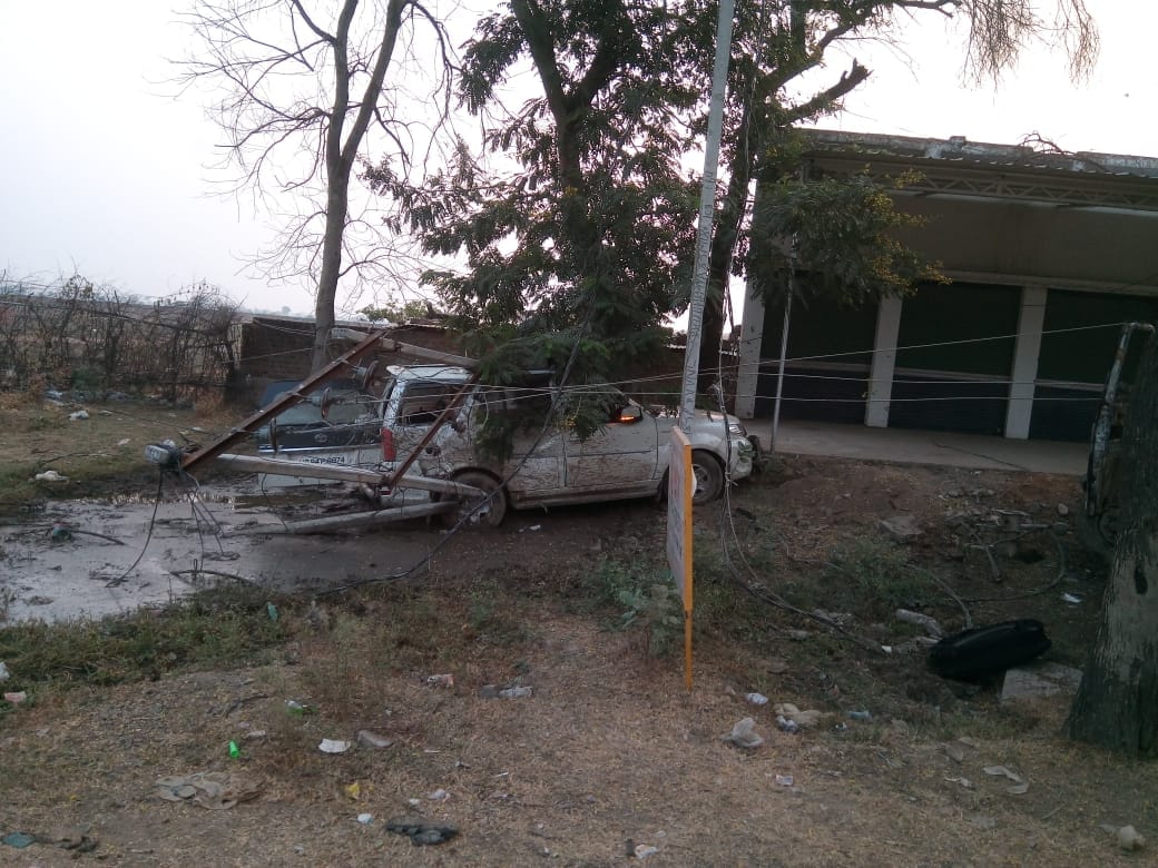 Cow accident to poll