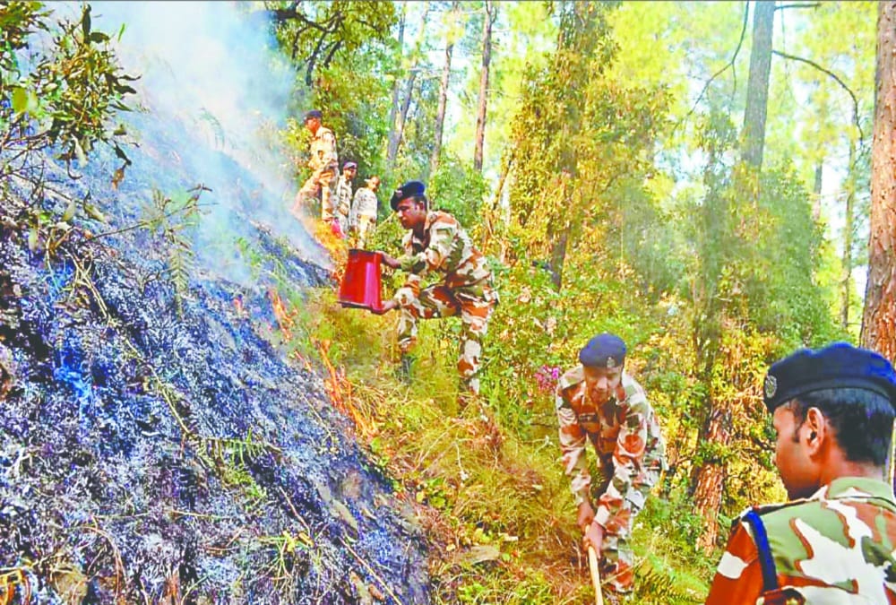Uttarakhand: Fire Broke Out in Forest Area, Itbp Soldiers extinguished fire in Uttarkashi