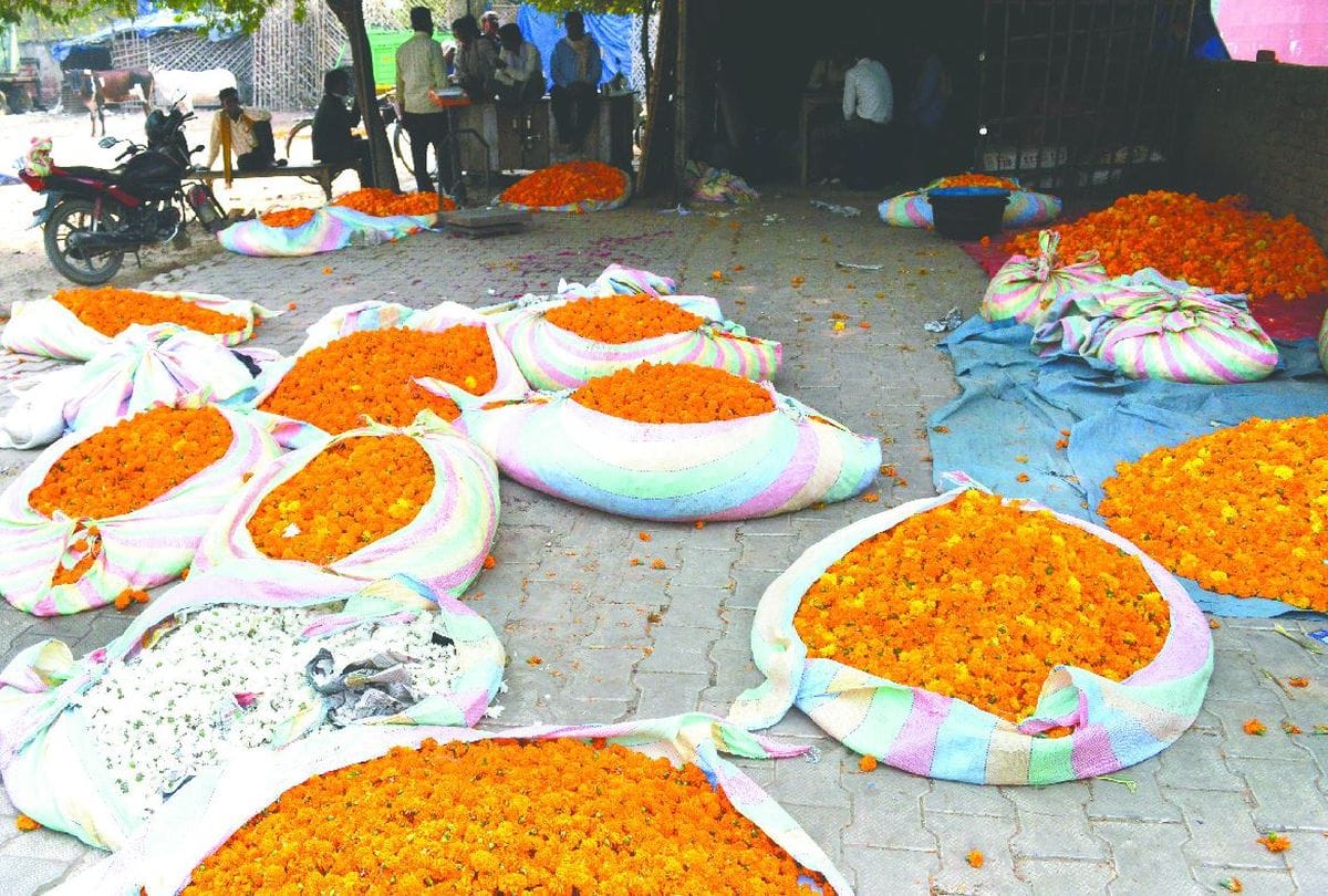 Happy Holi 2021: holi tips for kids in corona times in hindi