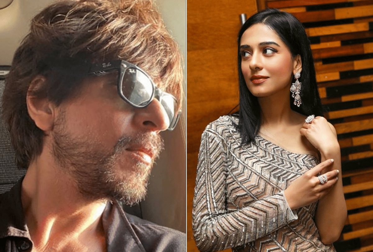Shahrukh Khan Birthday and Amrita Rao Became Parents entertainment news
