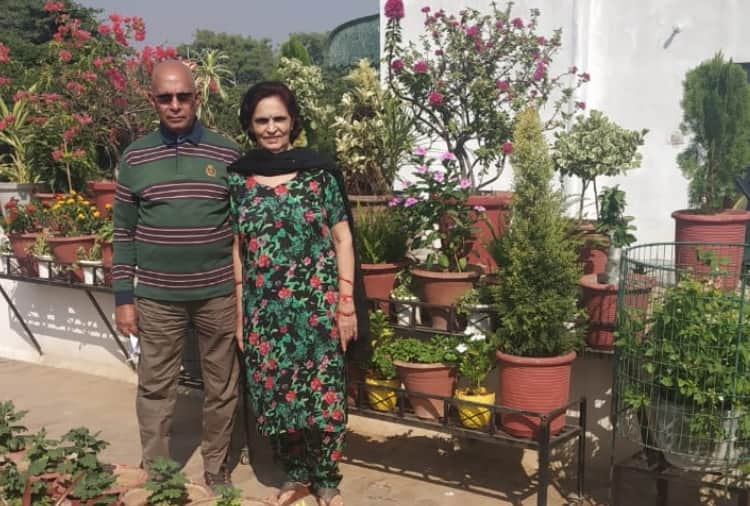 A man of Panchkula transformed his house into gardening