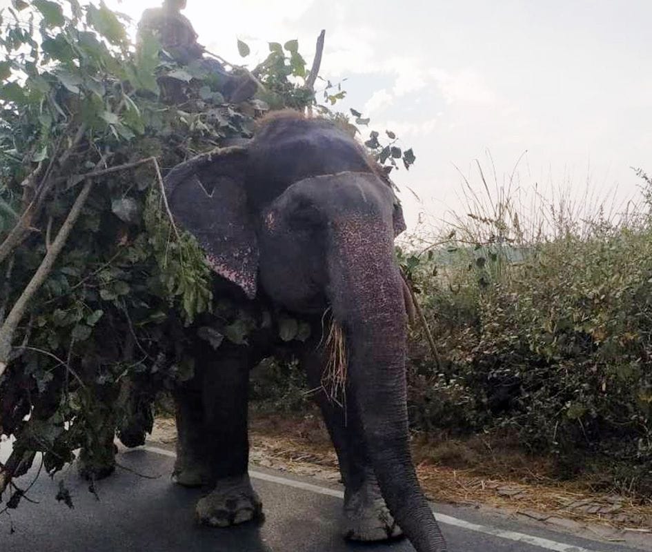 dudhwa tourism