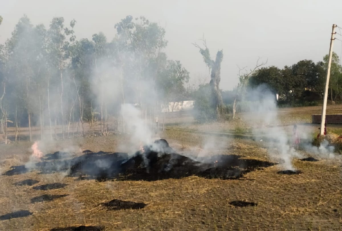 case filed against five people after Information about stubble burning from satellite