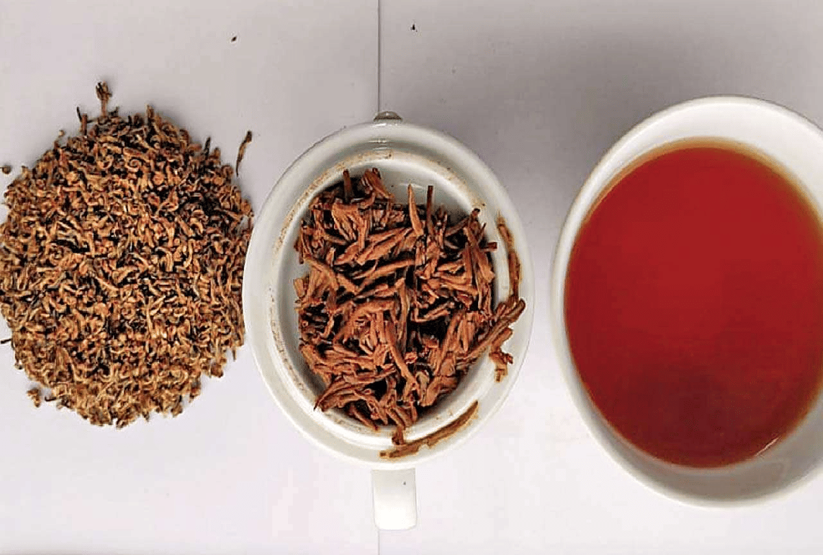 most expensive tea of india manohari gold tea sold at 75 thousand rupees per kg
