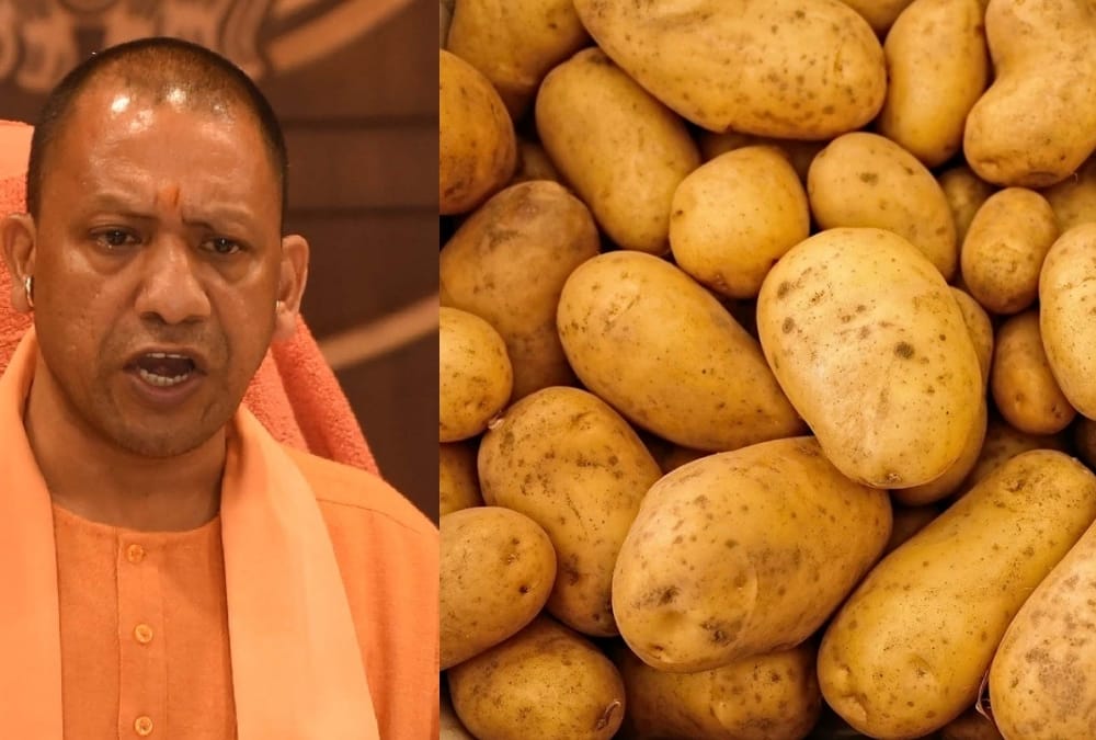 CM Yogi Adityanath ordered to raid on potato hoarders.