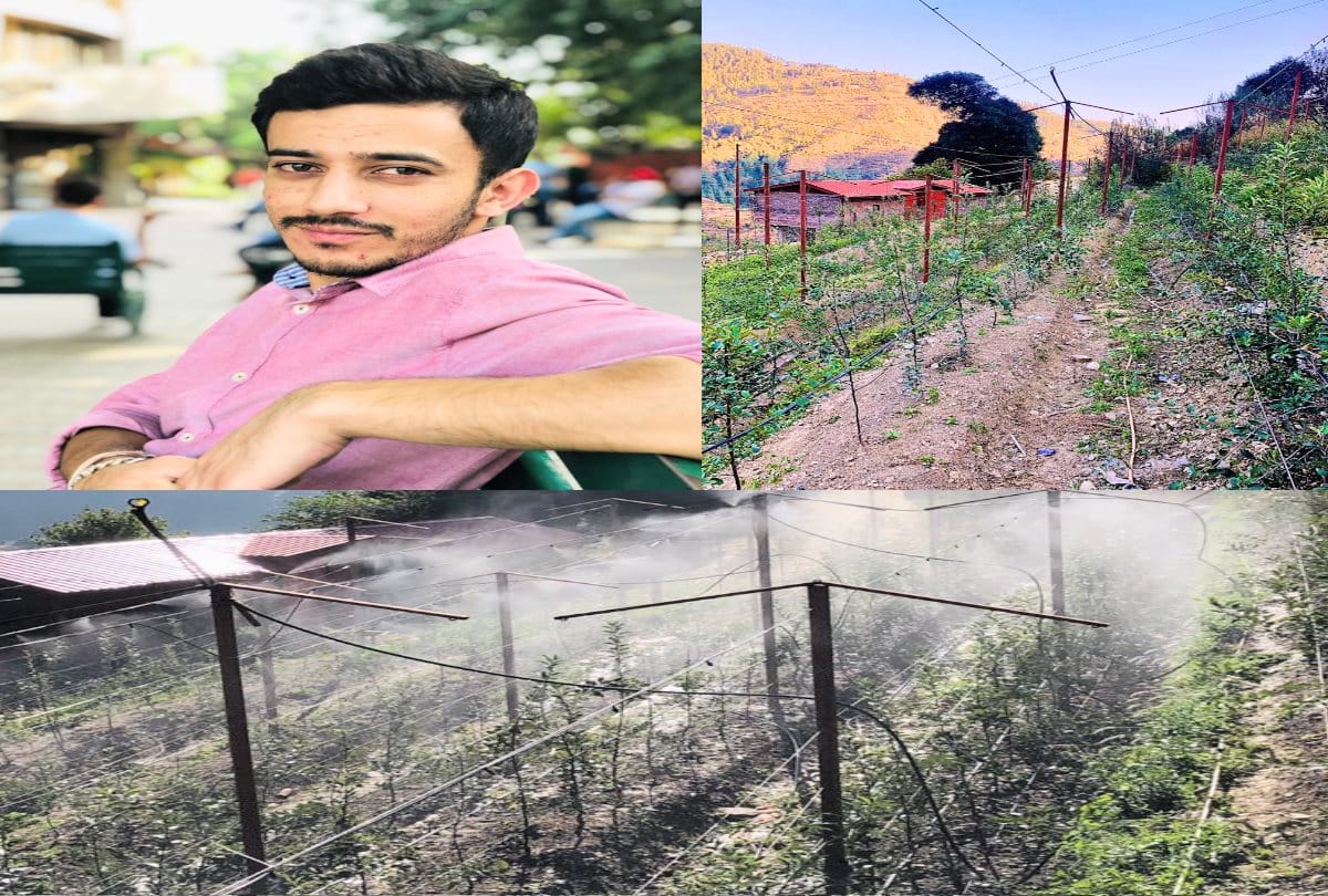 Shimla Apple Smart Garden News:The first smart Apple orchard developed here in the himachal pradesh