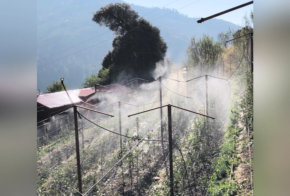 Shimla Apple Smart Garden News:The first smart Apple orchard developed here in the himachal pradesh