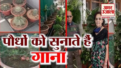 Man Of Panchkula Transformed His House Into Gardening