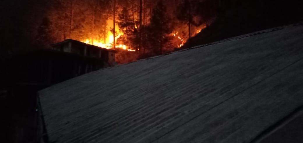 -Uttarakhand Forest Fire News: uttarakhand forest caught big fire