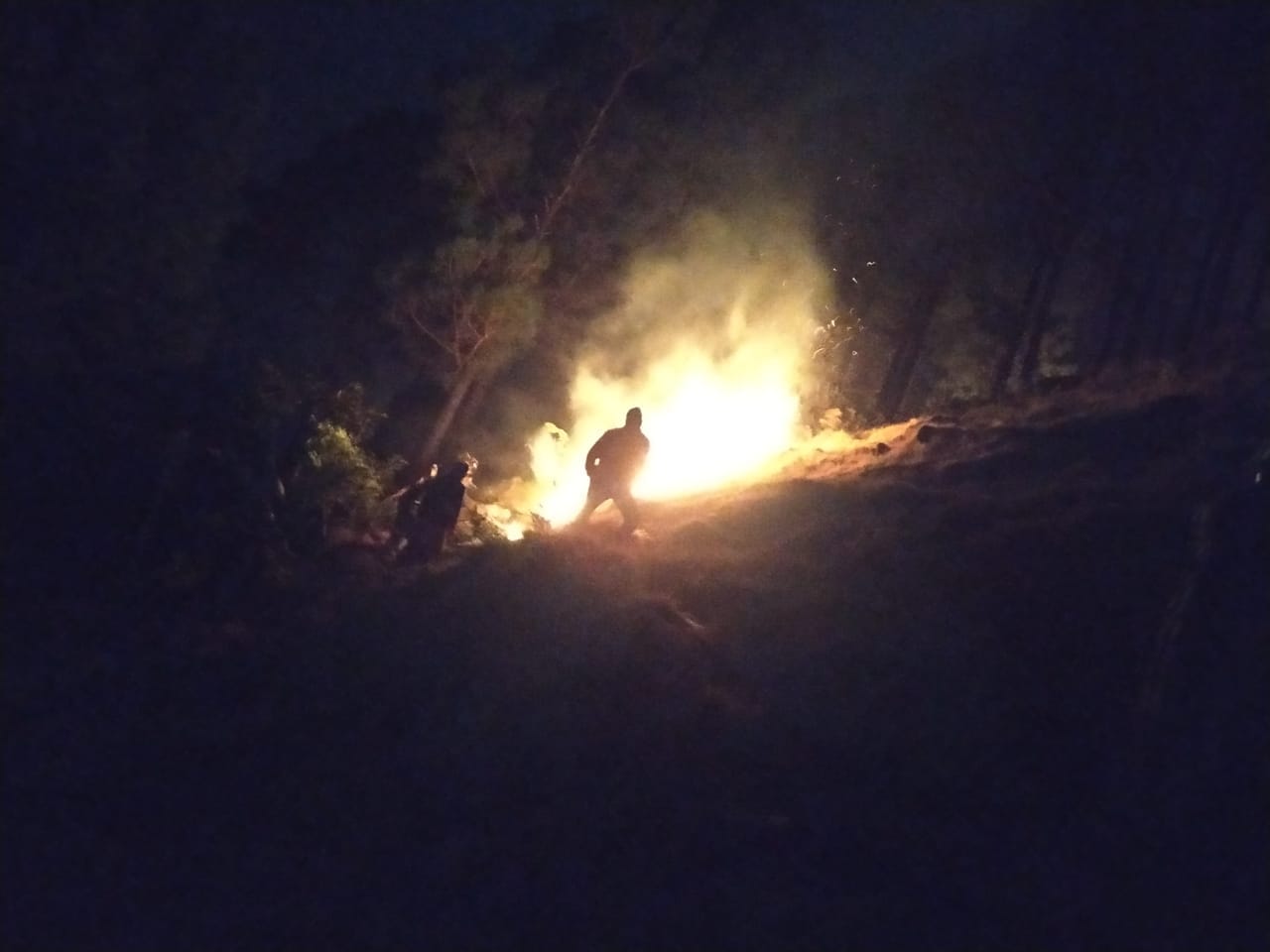 -Uttarakhand Forest Fire News: uttarakhand forest caught big fire