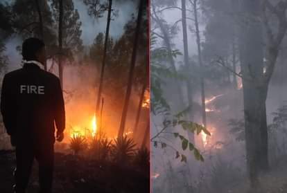 Uttarakhand Forest Fire Latest news: Corona Positive Women Funeral Fire destroyed Forest in almora