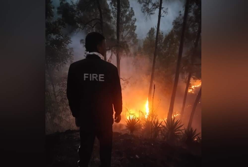 Uttarakhand Forest Fire Latest news: Corona Positive Women Funeral Fire destroyed Forest in almora