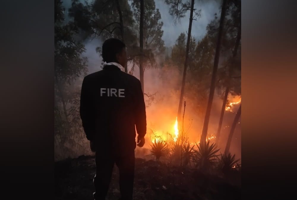 Uttarakhand Forest Fire Latest news: Corona Positive Women Funeral Fire destroyed Forest in almora
