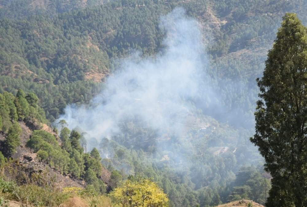 Uttarakhand Forest Fire Latest news: Corona Positive Women Funeral Fire destroyed Forest in almora