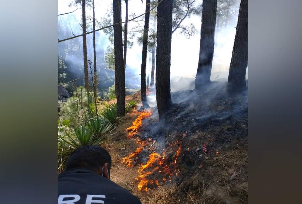 Uttarakhand Forest Fire Latest news: Corona Positive Women Funeral Fire destroyed Forest in almora