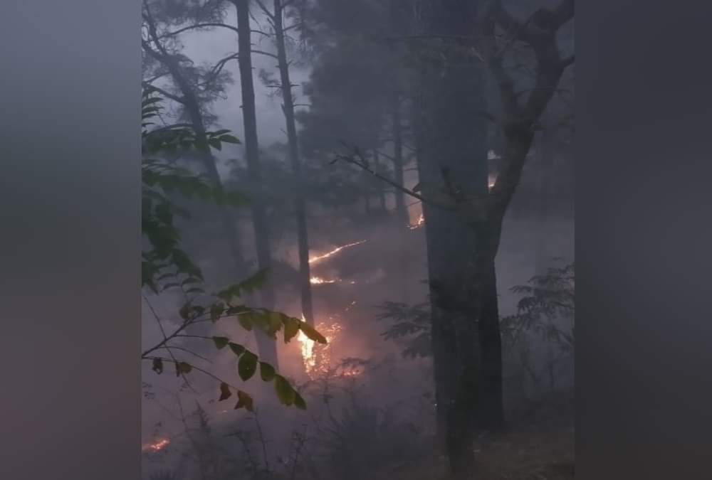 Uttarakhand Forest Fire Latest news: Corona Positive Women Funeral Fire destroyed Forest in almora