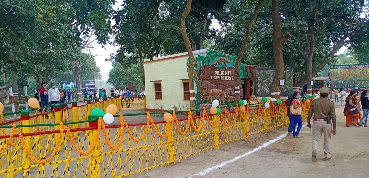 Pilibhit tiger reserve