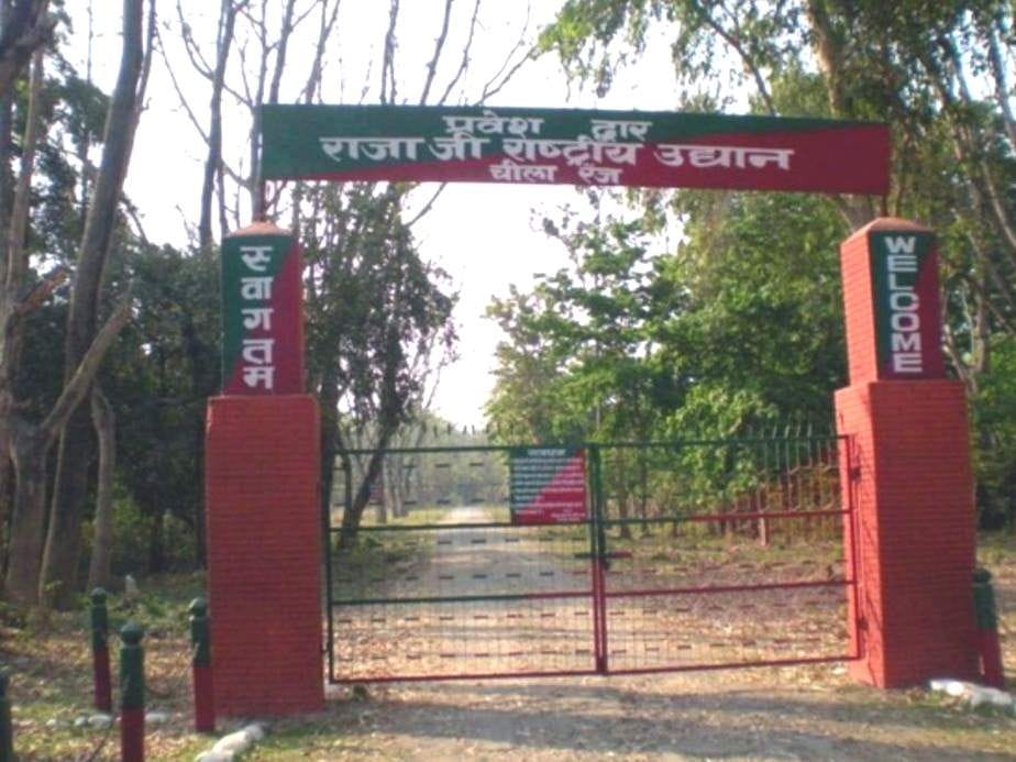 Jungle safari in Rajaji starts from today Haridwar Uttarakhand News in Hindi