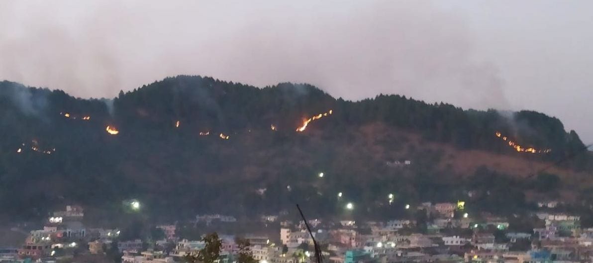 Rai Dhanoda's forests caught fire
