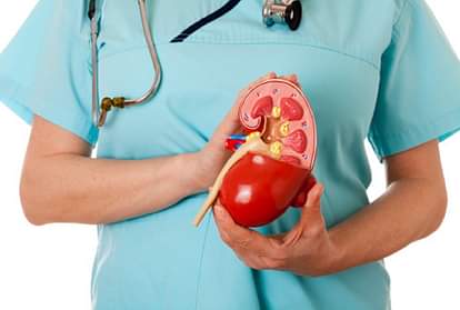 Health tips four foods to keep kidney healthy