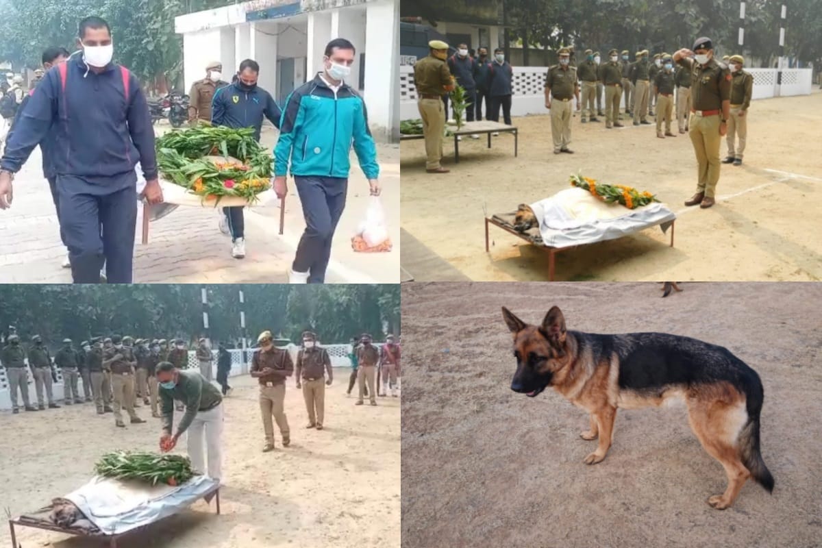 Dog squad SP Tinky has death in police line at Muzaffarnagar city of Uttar Pradesh