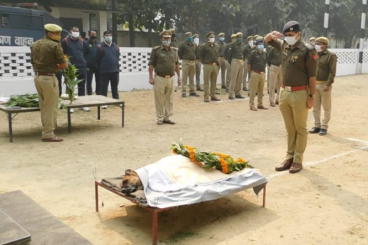 Mourning in UP police after ASP snifer DogTinky died, solved several incidents in six-years job