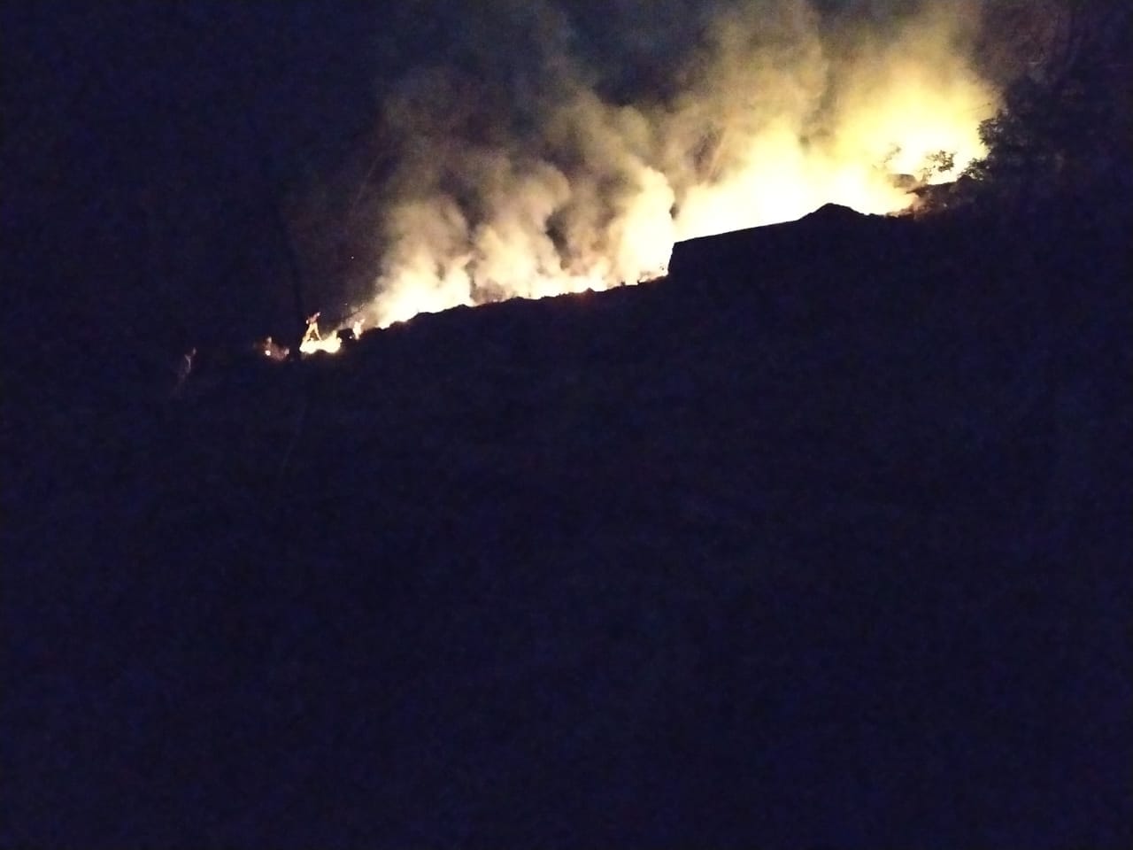 -Uttarakhand Forest Fire News: uttarakhand forest caught big fire