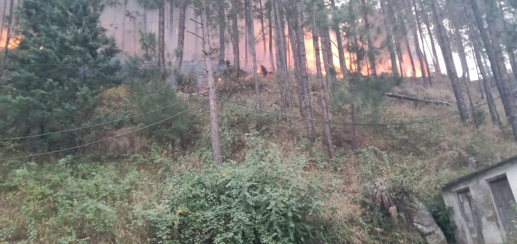 -Uttarakhand Forest Fire News: uttarakhand forest caught big fire