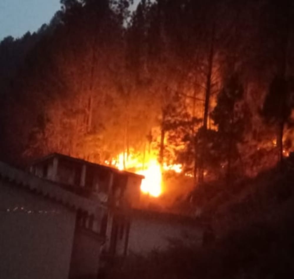 uttarakhand news :  wildfire in pindar forest
