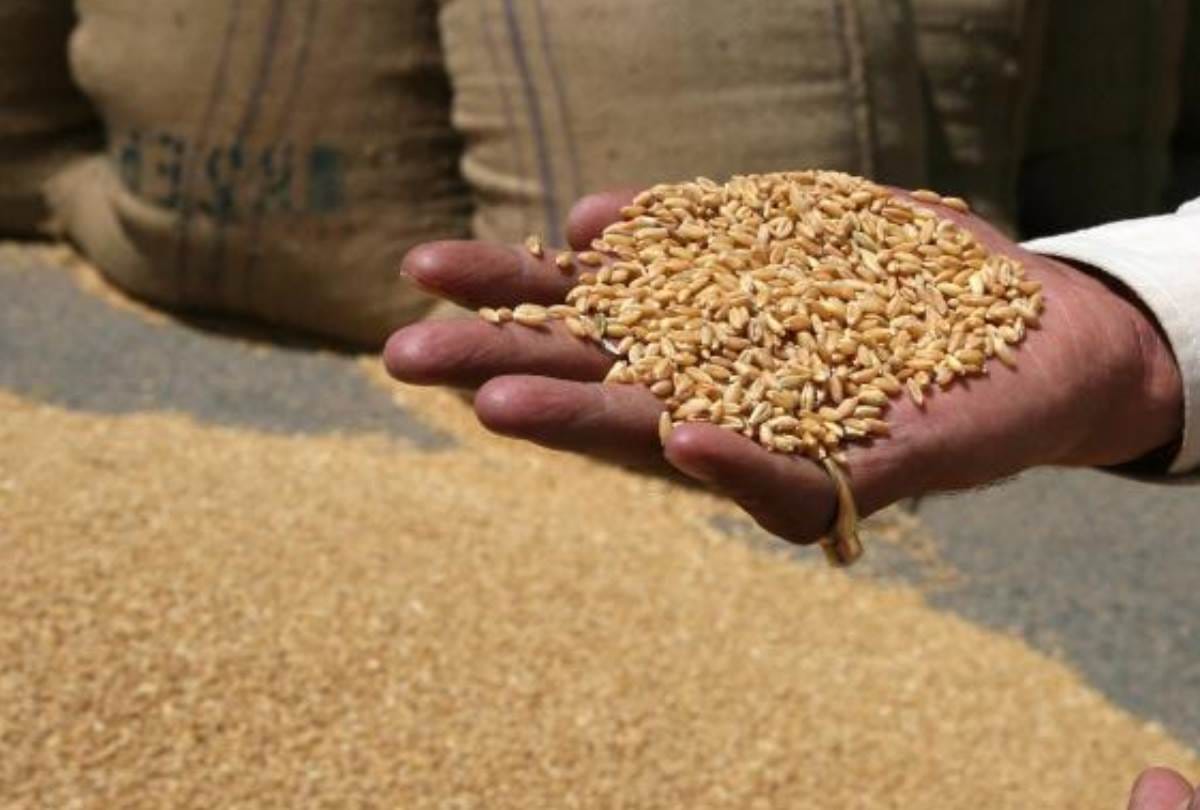seeks clarification from 23 nodal officers absent in grain distribution