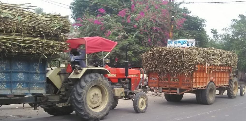 cane farmers problems