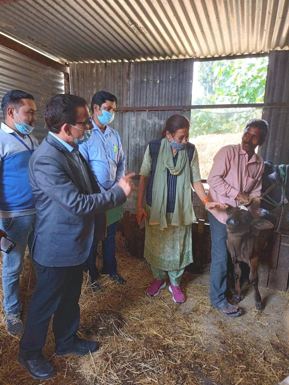 Animal Husbandry Minister took stock of vaccination works