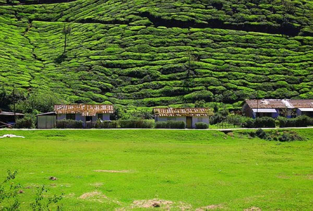 These hill stations in Kerala are perfect for walking