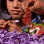 Kesar