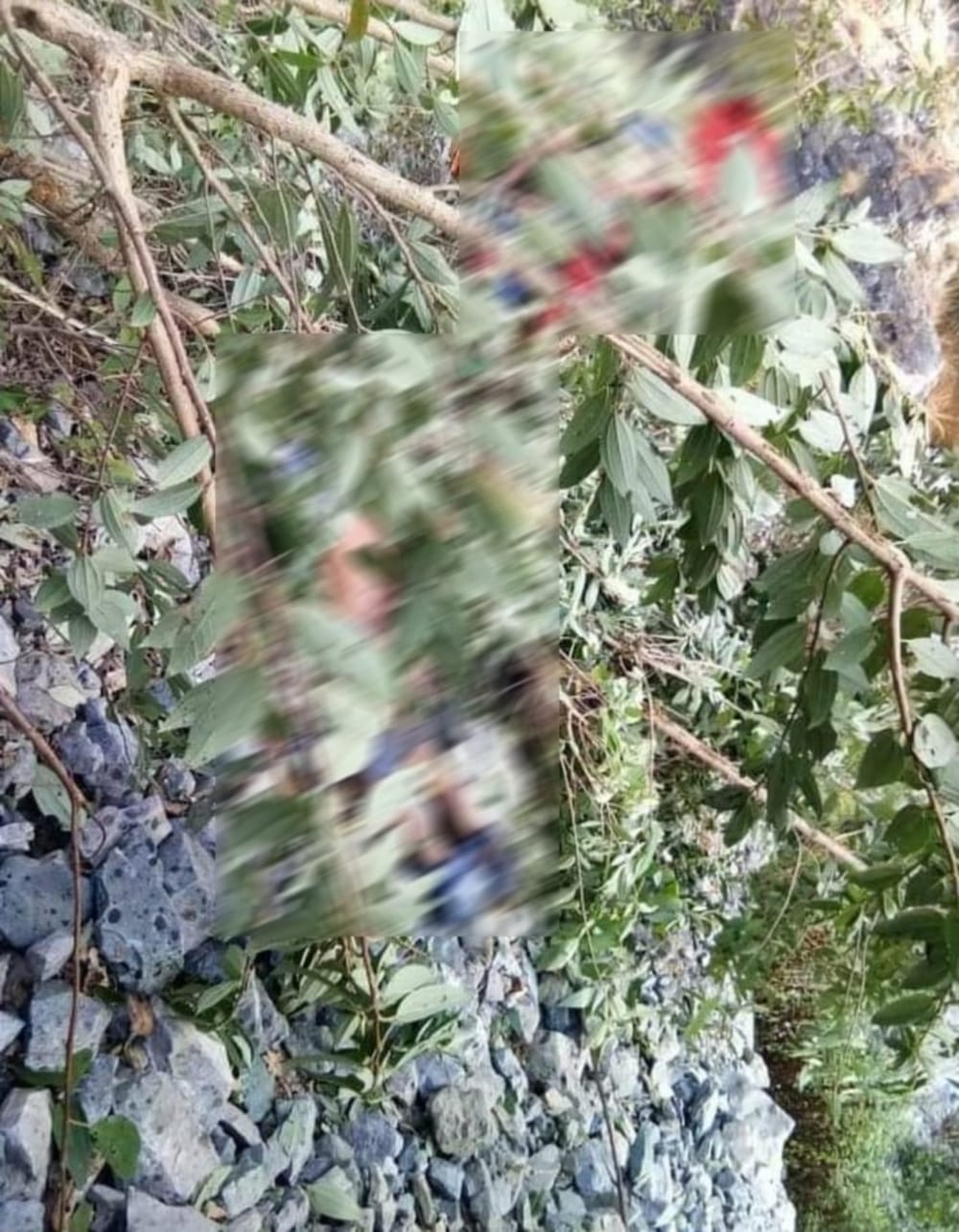 uttarakhand news: Unbalanced pickup falls in a ditch in Haidakhan road, two killed