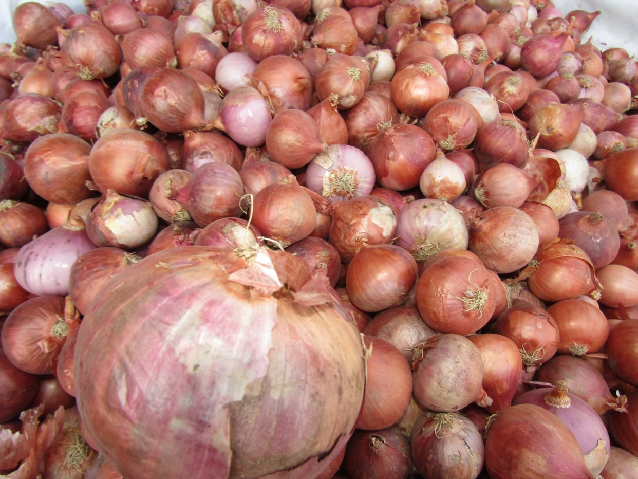 SDM of four tehsils will examine onion stock