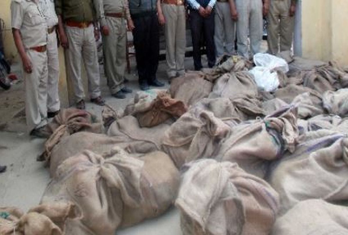 426 turtles being smuggled from railway station were caught