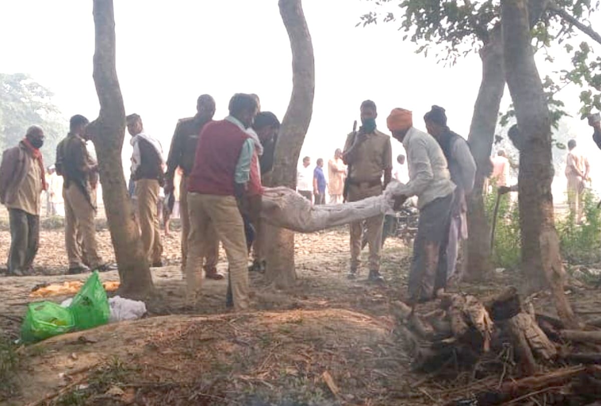 father beaten death during fighting between brother and sister