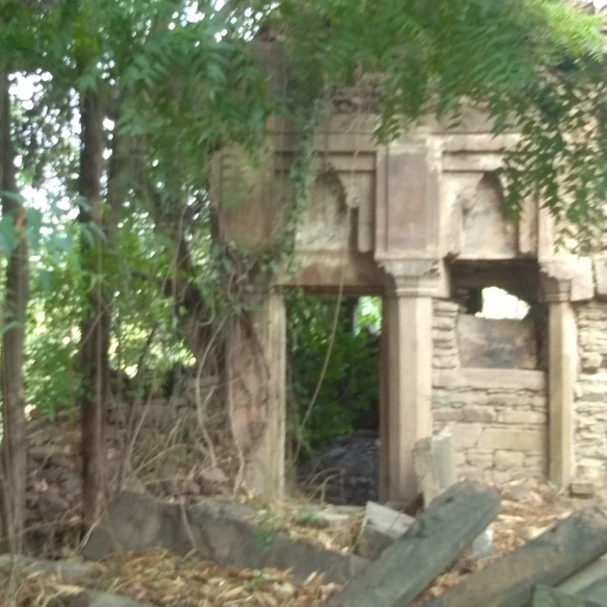 The wrestlers of Pakistan have also prayed in this Hanuman temple, Devan Singh met Hanuman Mirzapur