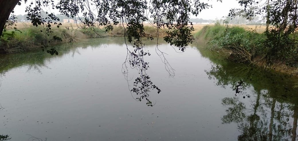 Excavation of pond under JCB