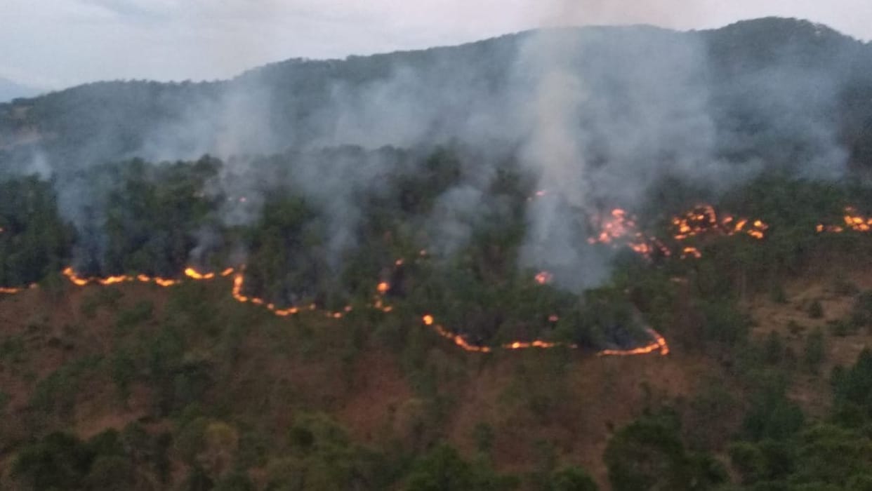 Fire in the forests of Nileshwar and Mankot damaged the Vansampada