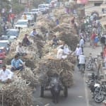 गन्ना किसान (प्रतीकात्मकत तस्वीर)