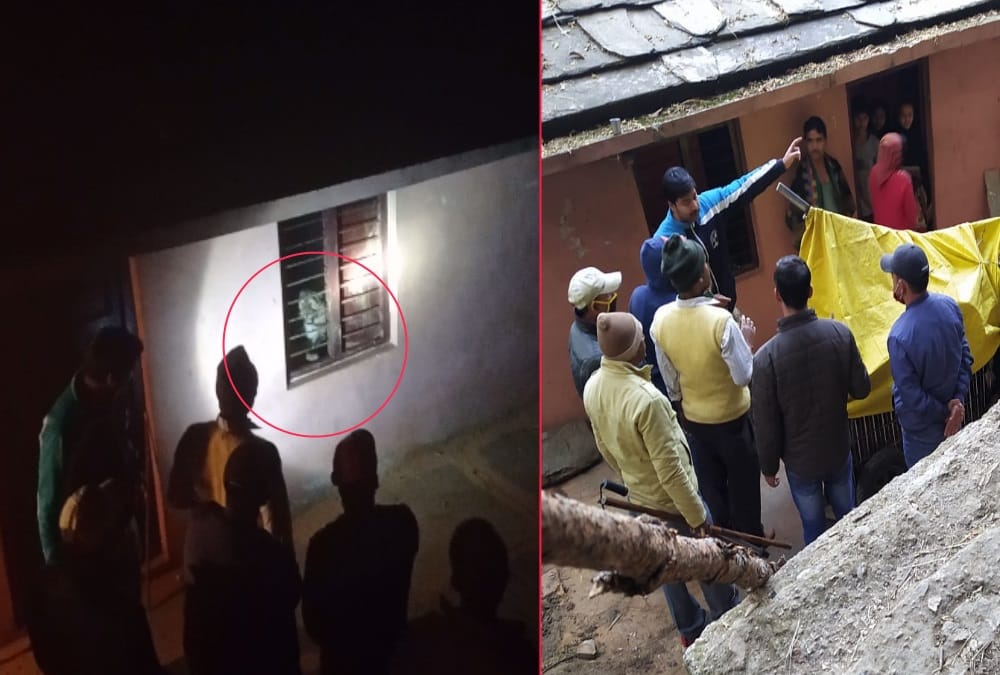 Uttarakhand Latest News: Leopard attack on Dog and Locked Together into Room in Bageshwar, see photos
