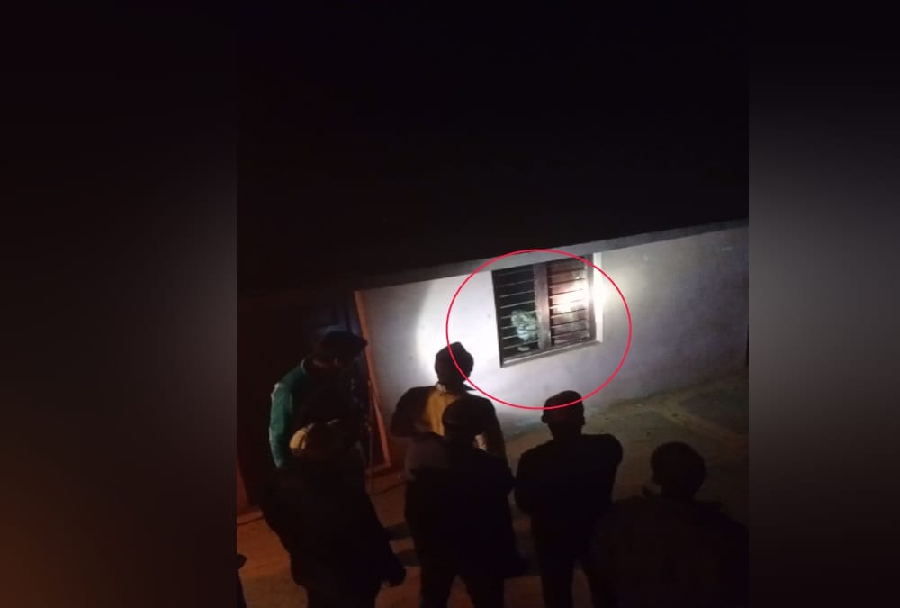 Uttarakhand Latest News: Leopard attack on Dog and Locked Together into Room in Bageshwar, see photos