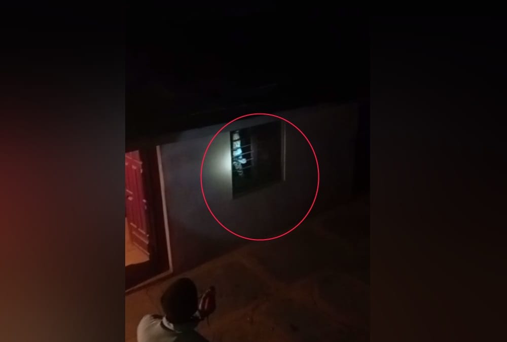 Delhi news: Leopard spotted in Najafgarh, panic among people