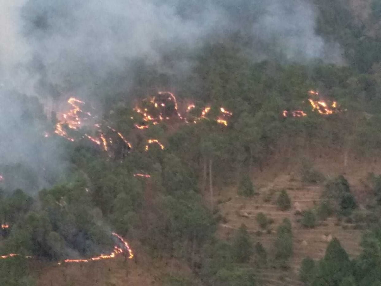Forest Fire in Bageshwar