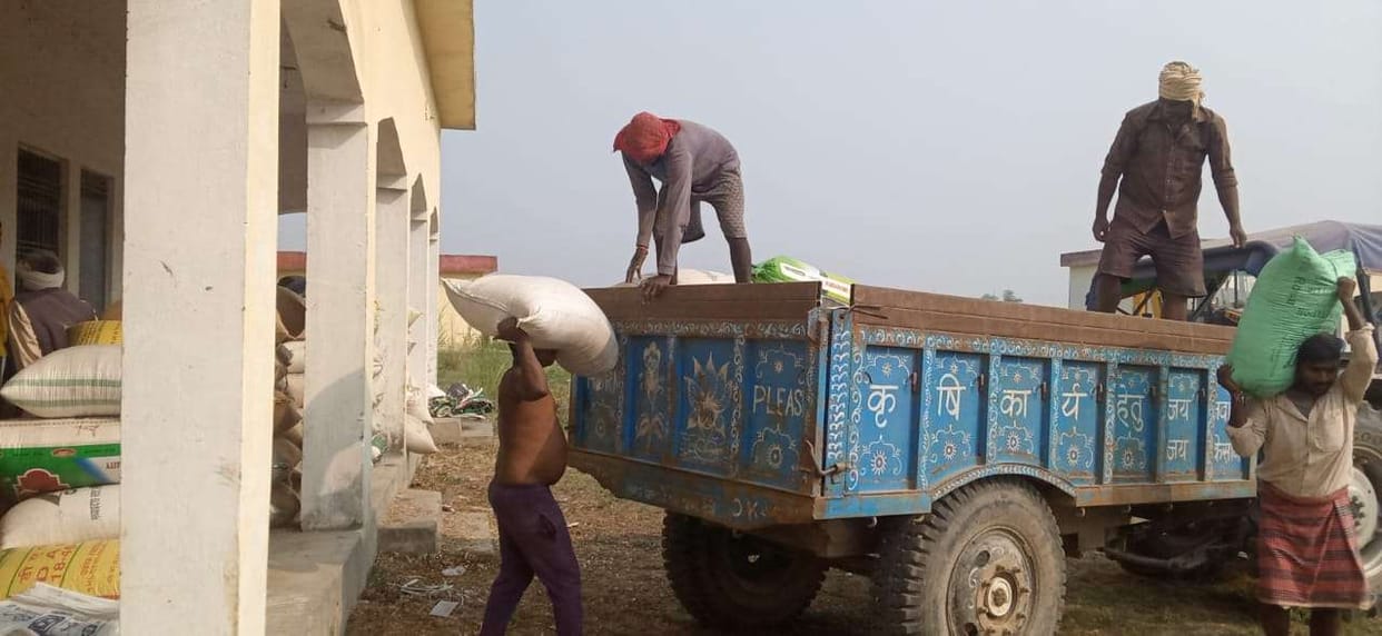 550 quintal maize purchases so far