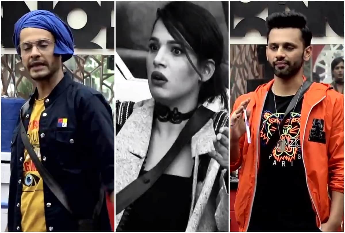 Bigg Boss 14 Contestant Naina Singh Shardul Pandit and Rahul Vaidya For Cooking Food