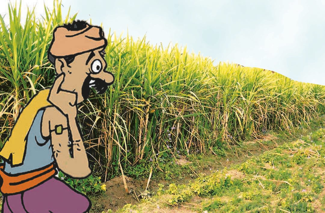agricultural
